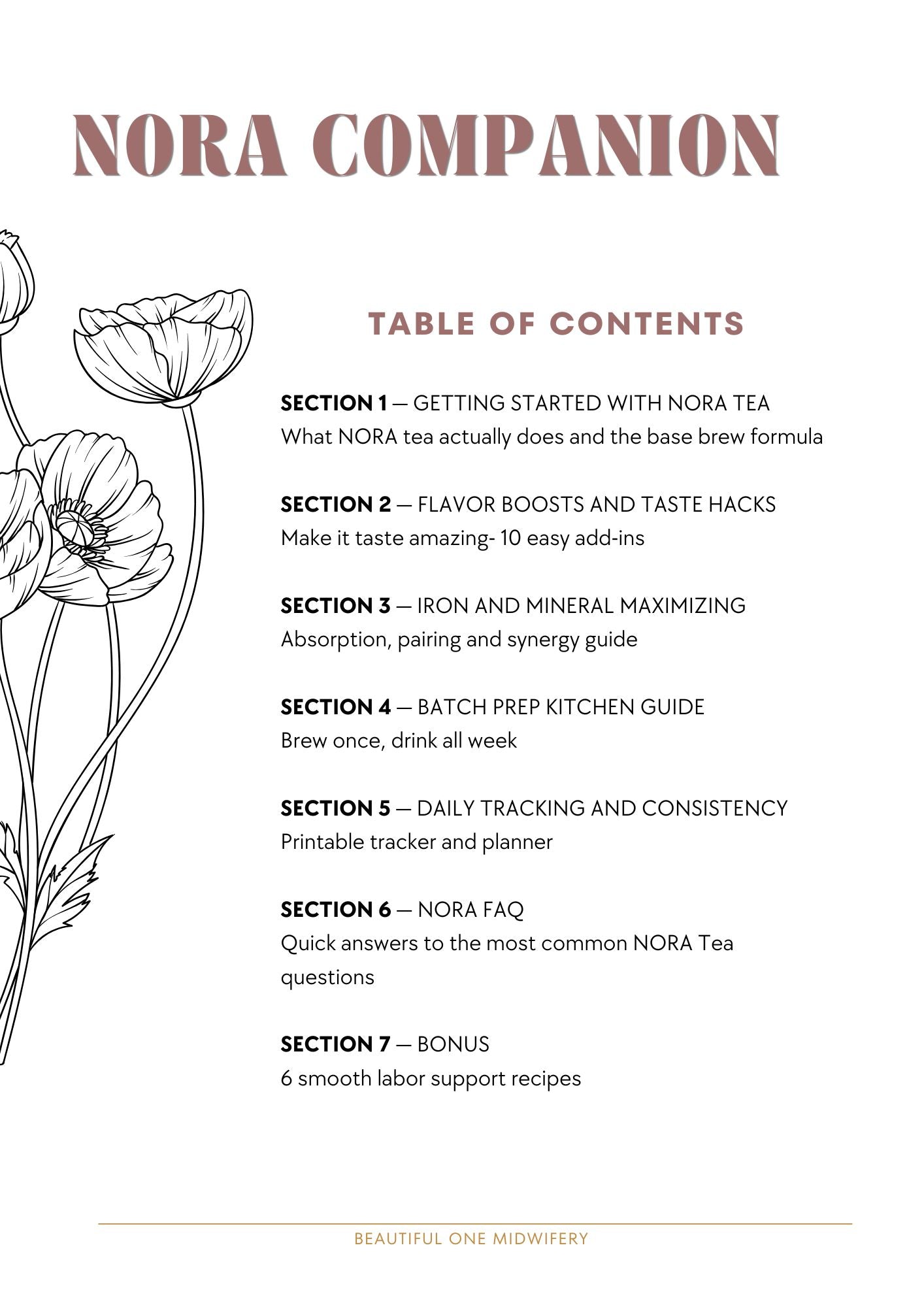 The NORA Companion Guide